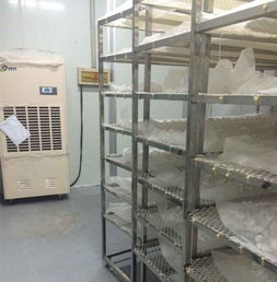 高濕物料烘干機(jī),高濕物料烘干除濕一體機(jī)