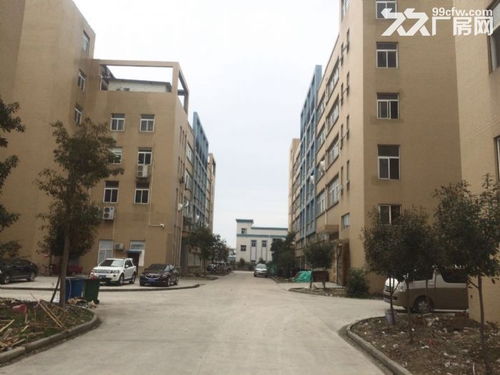 東西湖愛(ài)迪克斯工業(yè)園870平米全新標(biāo)準(zhǔn)廠房二樓出租僅剩一套