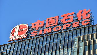 A股77家公司上半年獲政府補貼過億，中國石化成“補貼王”