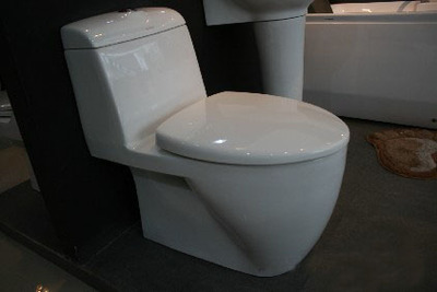 陶瓷衛生潔具八見解 多功能、富于表現力與生命力